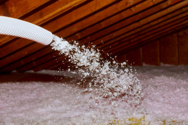 Best Residential Insulation in El Jebel, CO